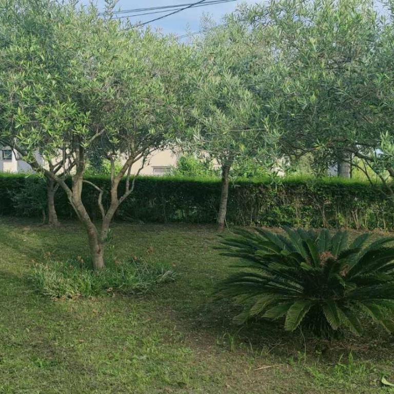 Lula Apartments - Triple Room with Balcony - 25