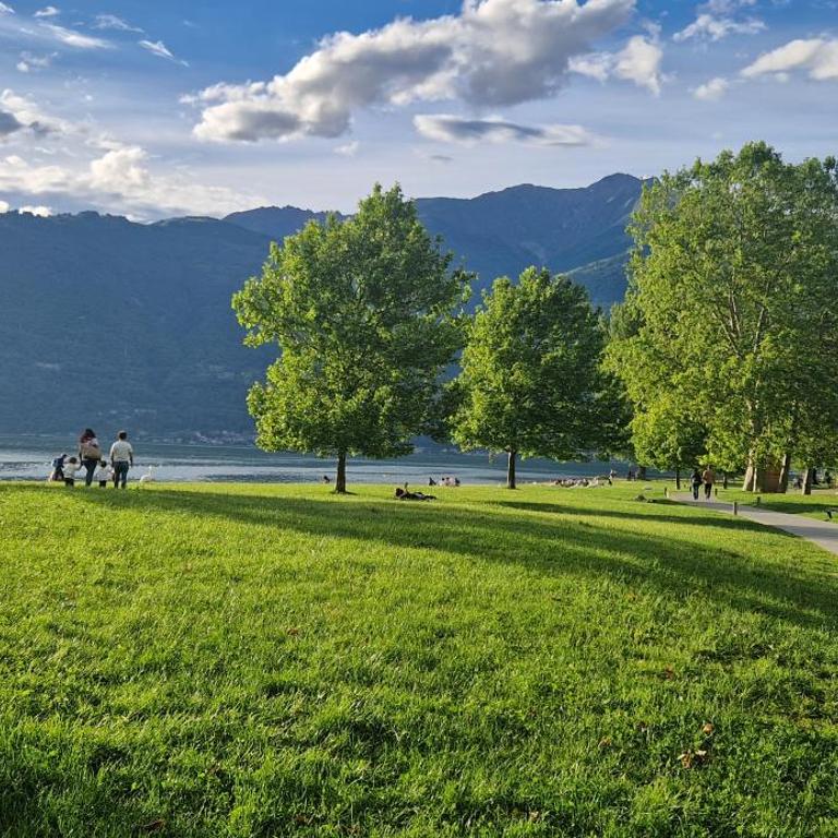 Dany Lodge Lago di Como - Maisonette-Apartment - 55