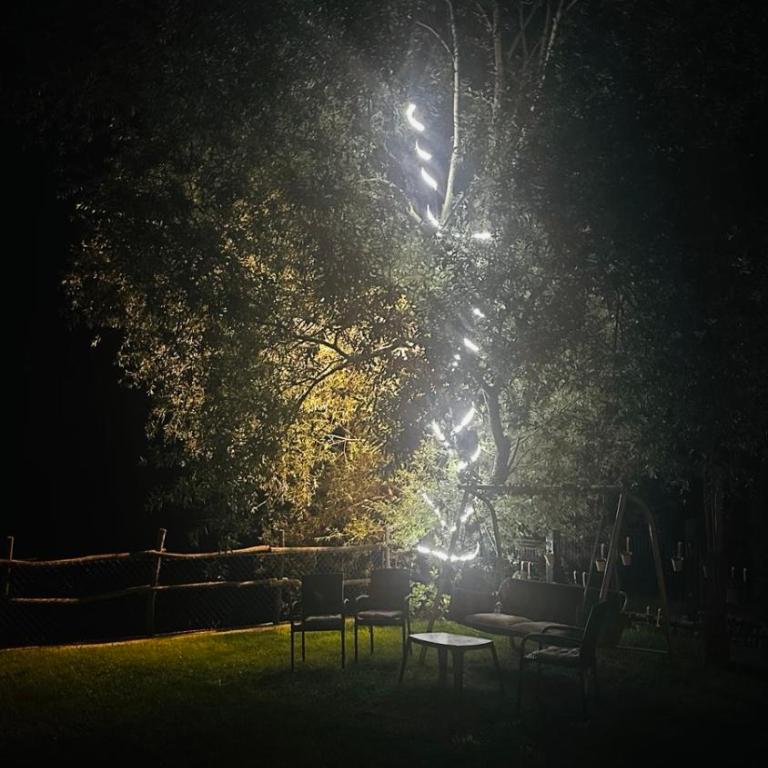 Villa UNA LUX - Villa - 62