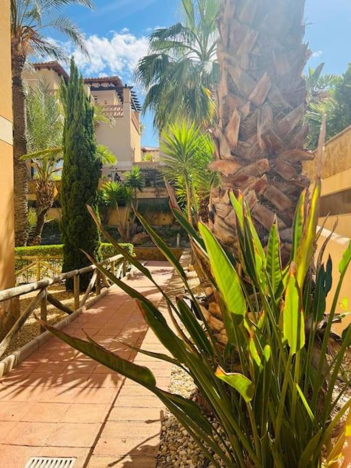 Casa Mediterránea Golf Vera y playa - Apartamento de 1 dormitorio - 45