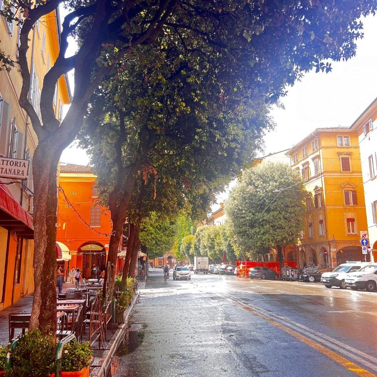 BolognaBySide -RIGHI - One-Bedroom Apartment - 59