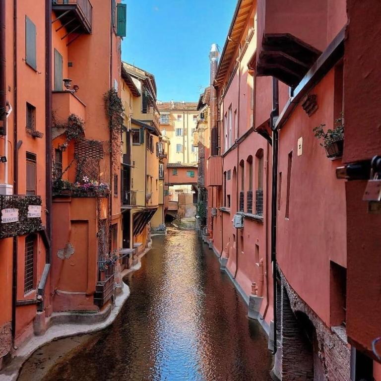 BolognaBySide -RIGHI - One-Bedroom Apartment - 62