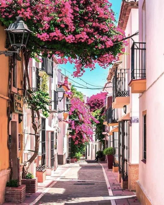 Beautiful Old Town Retreat - Apartamento de 2 dormitorios con balcón y terraza - 17