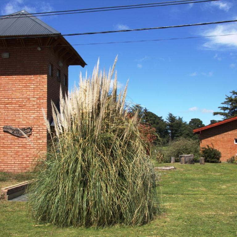 Cabañas El Rincón del Golf - Casa con 1 dormitorio - 3