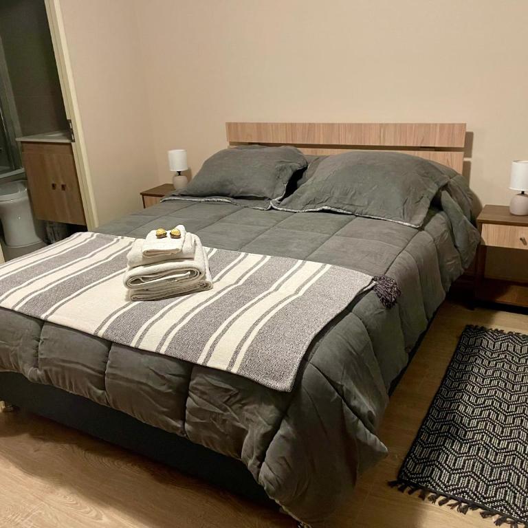 Departamento Nuevo Centro Osorno - Deluxe One-Bedroom Apartment with City View - 13