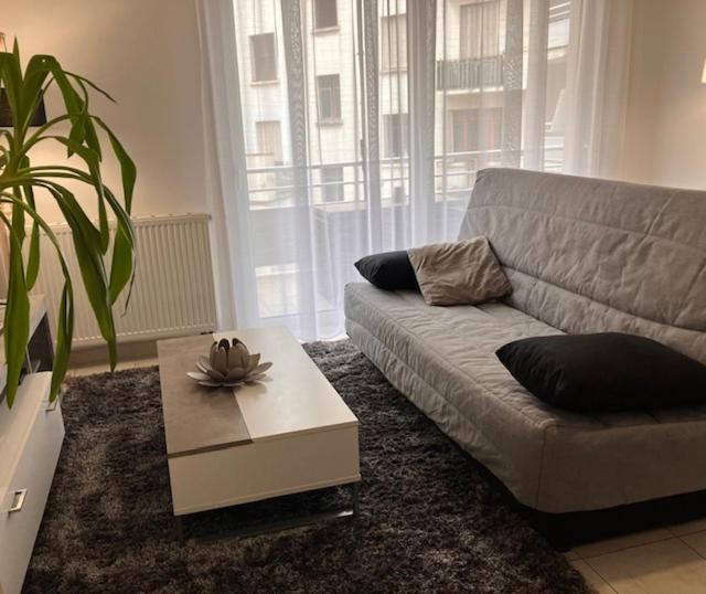Cocon sur cour - Appartement 1 Chambre - 28