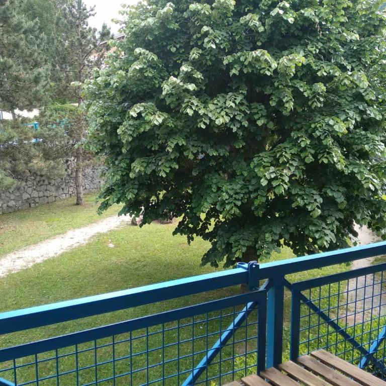 Duplex lumineux - 40m2 - 2 chambres - Balcon terrasse - Parking - Entierement renové en Mai 2024 - Apartment mit 2 Schlafzimmern - 9