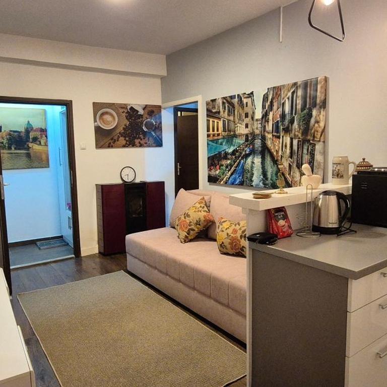 Sarajevo Old Town Charm - Apartman sa 1 Spavaćom Sobom - 6