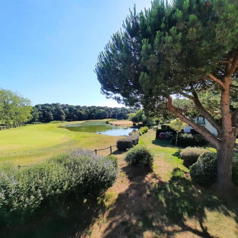 SAS Vac Appart - Appartement 1 Chambre - 12