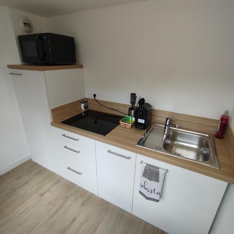 Grand studio avec terrasse - Appartement 1 Chambre - 17