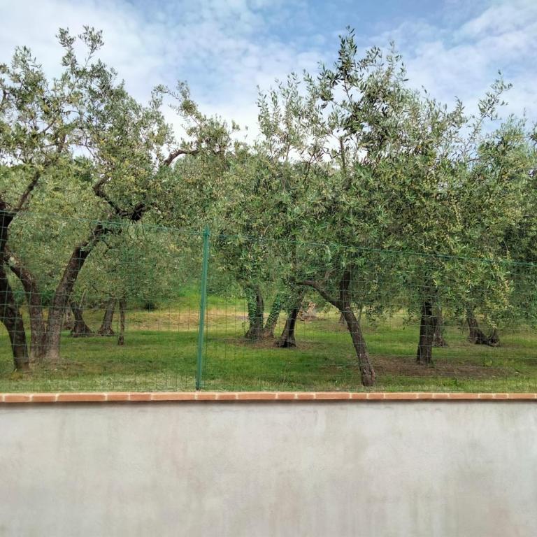 Lombardi Rita - Colle S. Martino - Appartamento con 2 Camere da Letto e Patio - Su 2 Livelli - 57