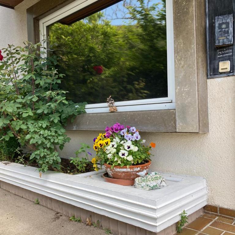 Haus Bergland - Apartment mit 1 Schlafzimmer - 6