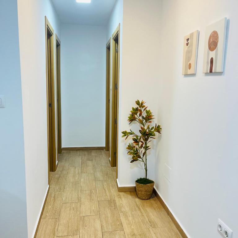 Adana Beach House - Apartamento de 3 dormitorios - 8