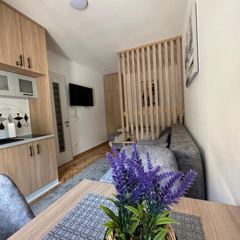 Talija apartman 4 - One-Bedroom Apartment - 1