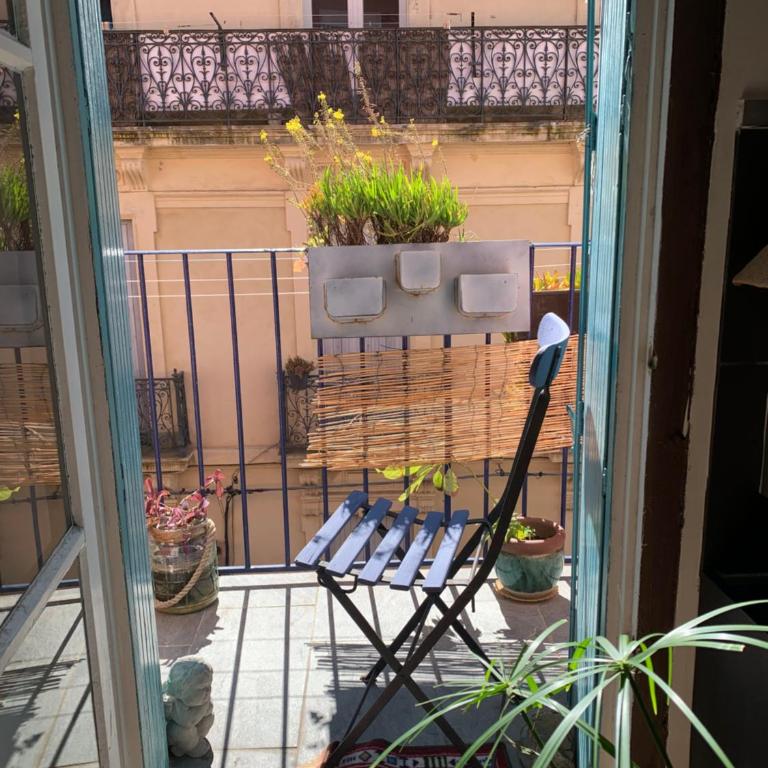 Appart Central à Sète avec balcon - Appartement 1 Chambre - 16