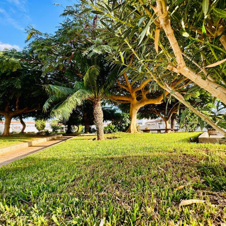 Casa Una - is all you need - Apartamento - 24