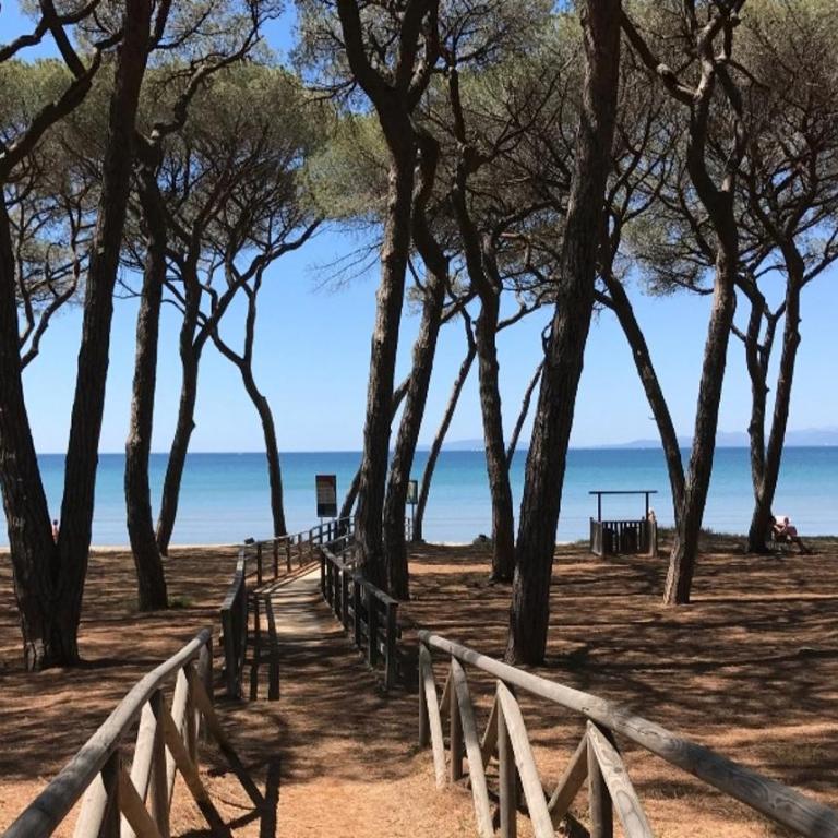 Beach House - Appartamento con 1 Camera da Letto - 15