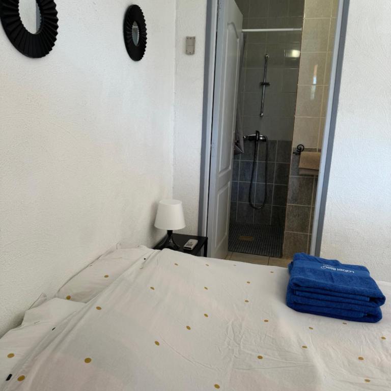 VILLA NATHEO Bas de villa - Studio 37m2 avec Coin nuit - Appartement 1 Chambre - 7