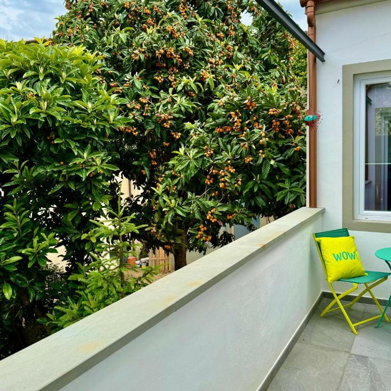Apartment Florence Today with a private balcony - Appartamento con 1 Camera da Letto - 45