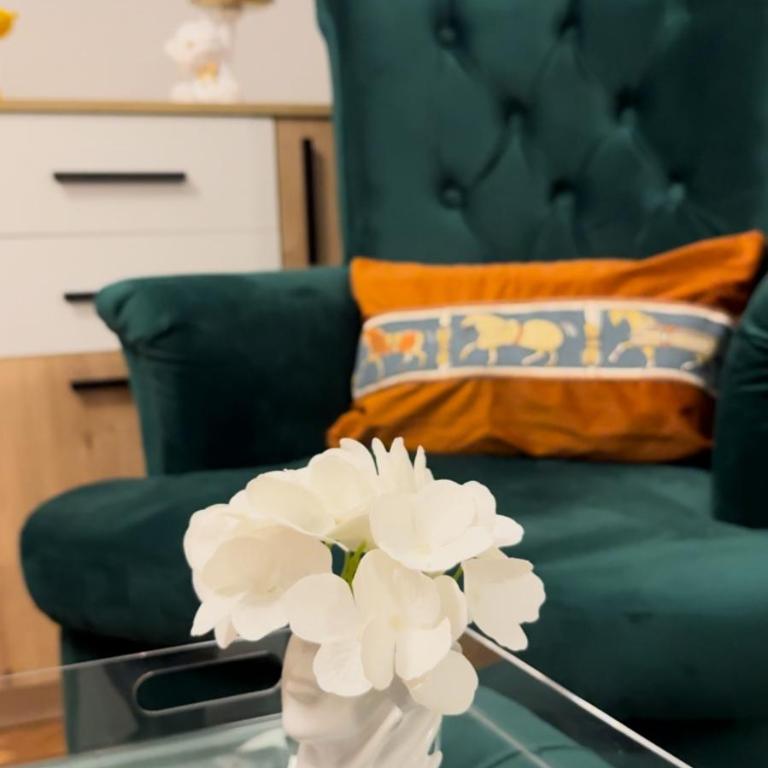 Belgrade Lux Charm Stay - Apartman sa 2 Spavaće Sobe - 45