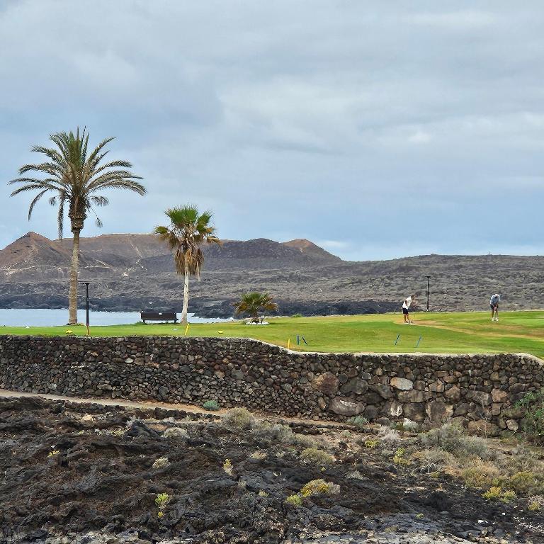 Ocean View Sunny Suite - Pool & Parking - Golf de Sur - Apartamento de 1 dormitorio - 42