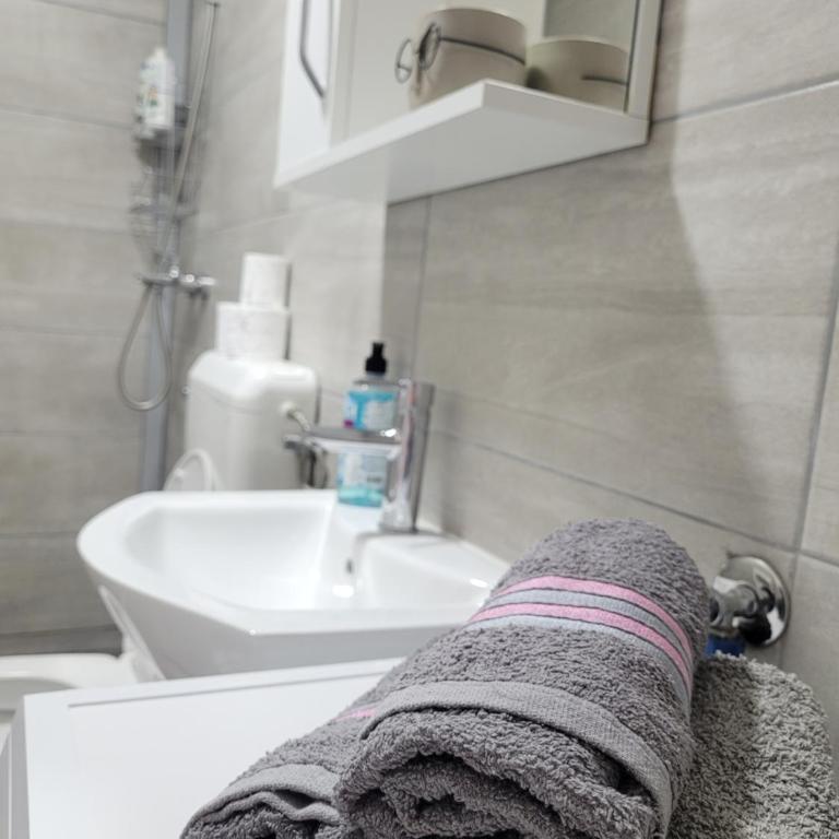 Apartmani ELEGANCE Tuzla - Apartman sa 2 Spavaće Sobe - 13