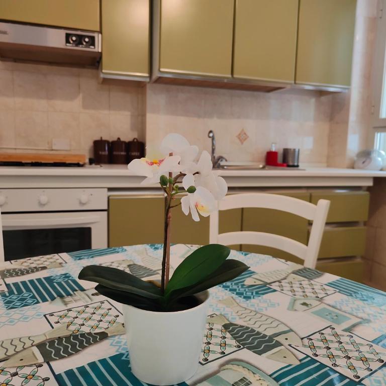 Appartamentino Luigi (Gaeta Holidays) - Appartamento con 2 Camere da Letto - 8