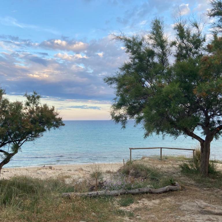 La Torretta del Surfista - One-Bedroom House - 2