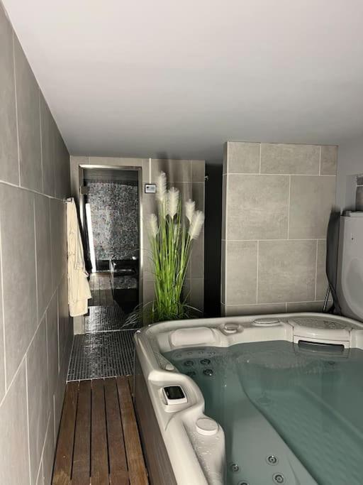 L'Appartement de Maman, Jacuzzi & Hammam privé - Apartamento de 3 dormitorios - 52