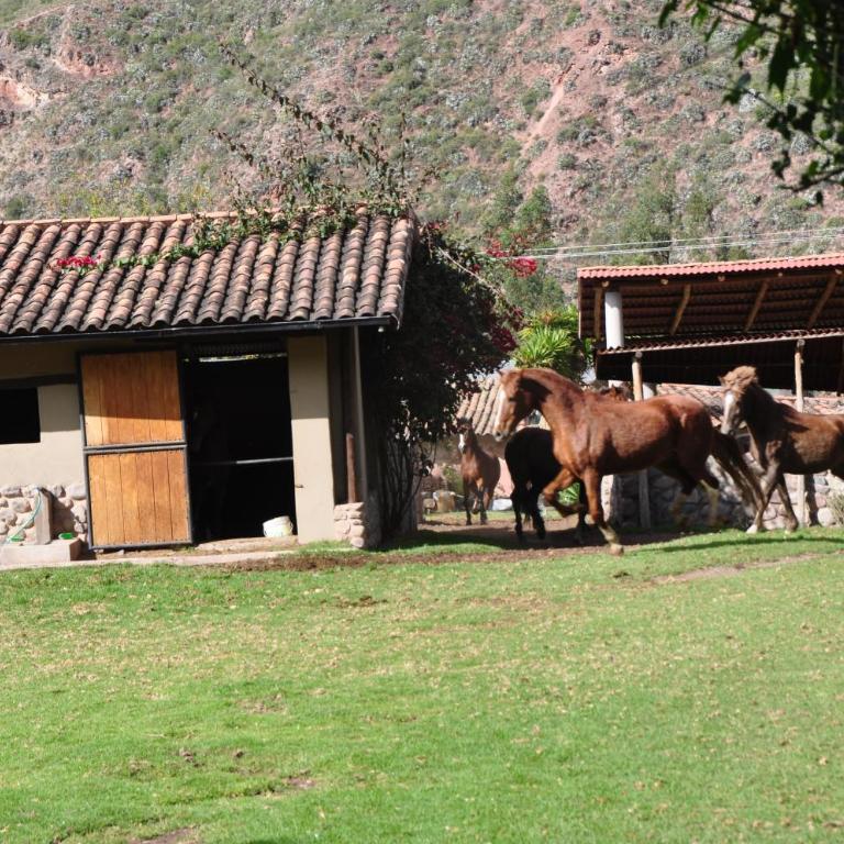 Valle Dorado Lodge - Superior Twin Room with Garden View - 10