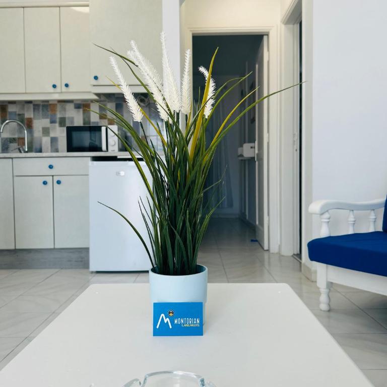 -MONTORIAN Apartments -LANZAROTE - Apartamento - Planta baja - 20