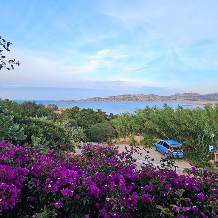 LA TERRAZZA SUL MARE - panoramic cottage overlooking sea and Caprera island in a quiet residential area - 150 mt from the sea - Villa con Vista Mare - 13