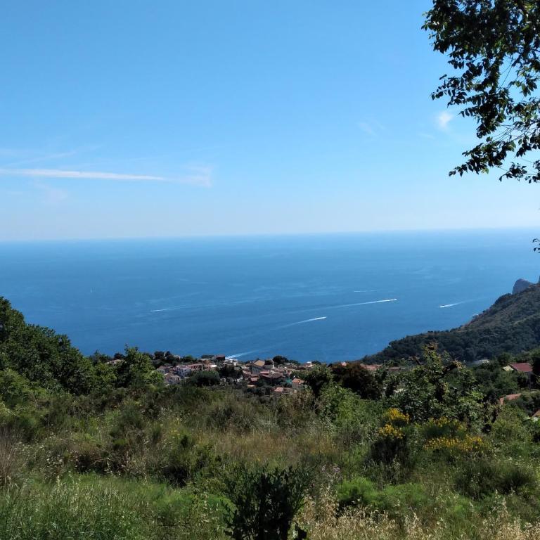 VILLA PIETRALTA - Villa con Piscina Privata - 71
