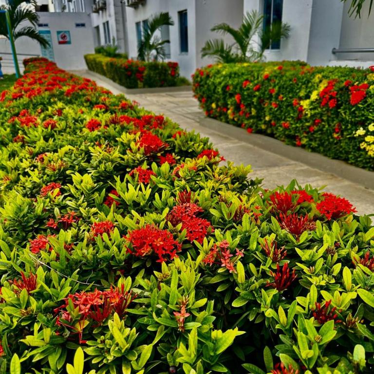 Apartamento de descanso Om Shanti Om - Apartamento de 3 dormitorios - 23