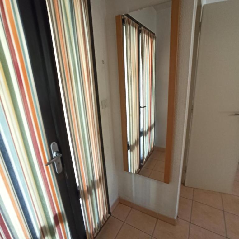 Le Cap d'Agde 2 pièces climatisé résidence Odalys St Loup en RDC avec terrasse - One-Bedroom Apartment - 6