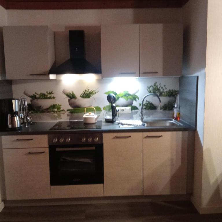 Ferienwohnungen Miklautsch - Apartment mit 2 Schlafzimmern und Balkon oder Terrasse - Nebengebäude - 17