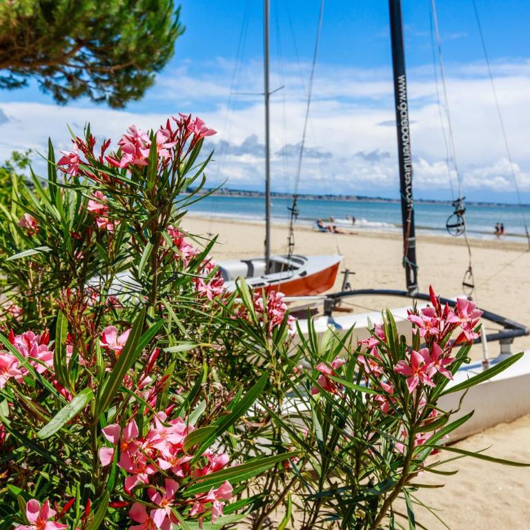 Plage Benoît à 80m, terrasse & jardinet 10 - Appartamento con 1 Camera da Letto - 1