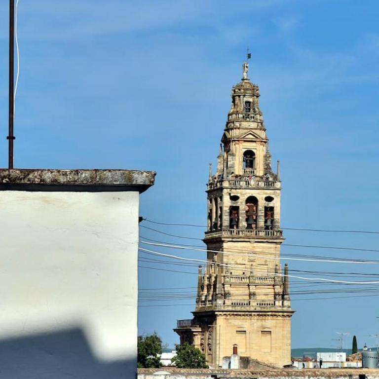 apartamento bonito - Apartamento de 2 dormitorios - 27