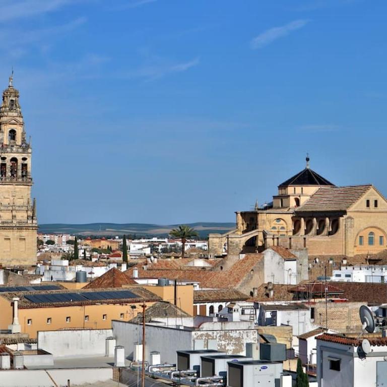 apartamento bonito - Apartamento de 2 dormitorios - 32