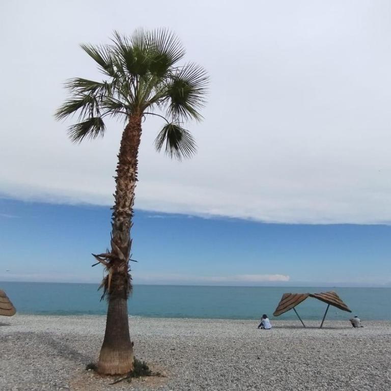 Parc Baie des Anges - One-Bedroom Apartment - 58