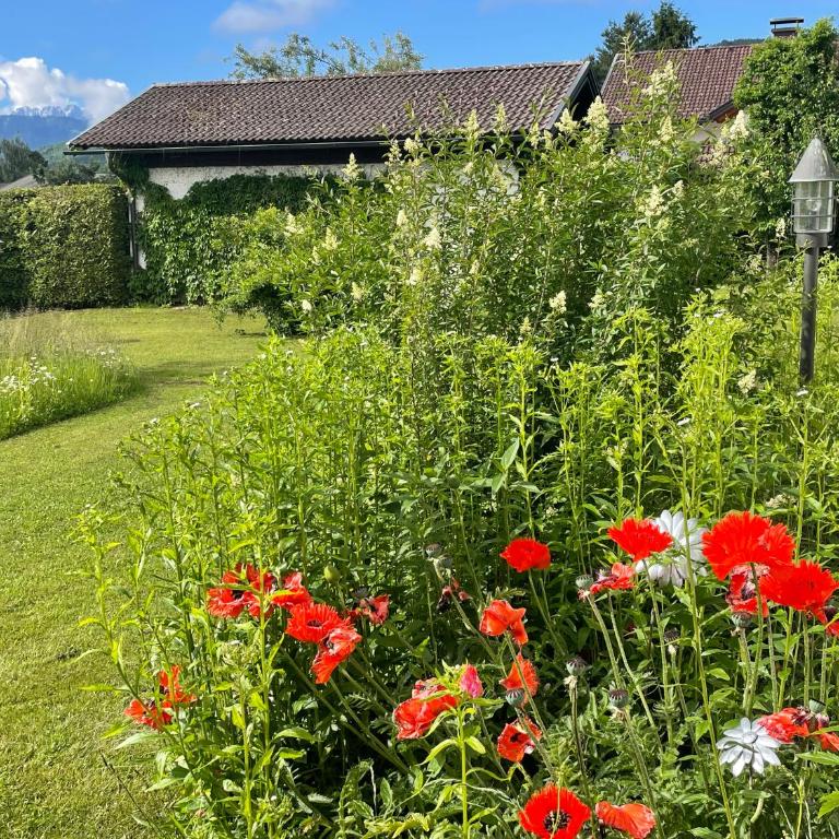 Haus Bergblick - Apartment mit 2 Schlafzimmern - 12