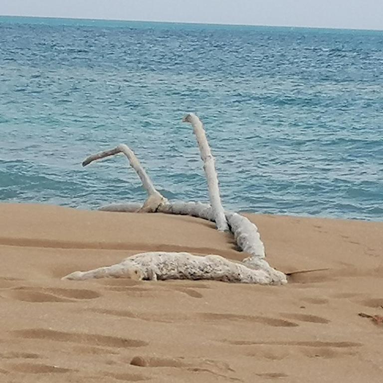 Ca' Libellula Casa Vacanza - Casa con 1 Camera da Letto - 47