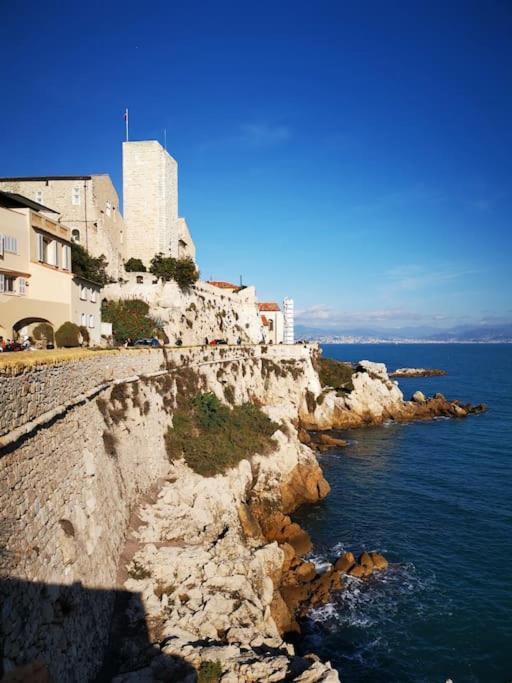Antibes - Apartamento de 1 dormitorio - 9