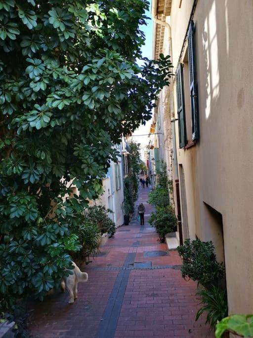Antibes - Apartamento de 1 dormitorio - 17