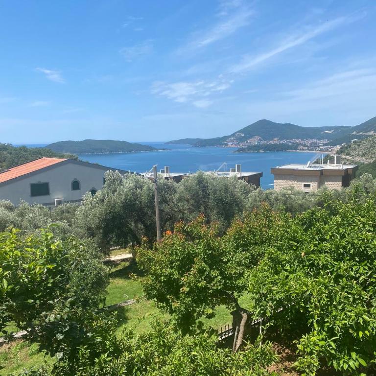 Green Olive 3 - Three-Bedroom Apartment - 1