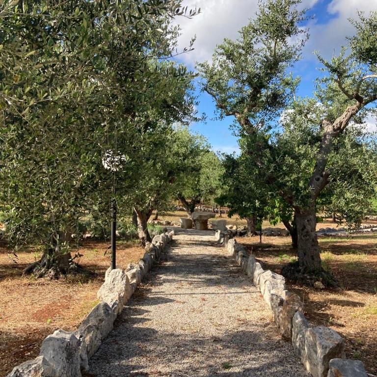 Antica Tenuta dei Trulli - Casa Vacanze con Piscina - 14
