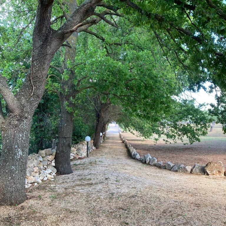 Antica Tenuta dei Trulli - Casa Vacanze con Piscina - 13