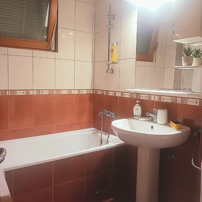 DukeStepa - Apartman sa 1 Spavaćom Sobom - 12