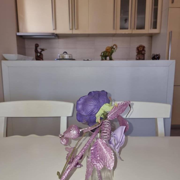 Ana apartment City kvart - Apartman sa 2 Spavaće Sobe - 7