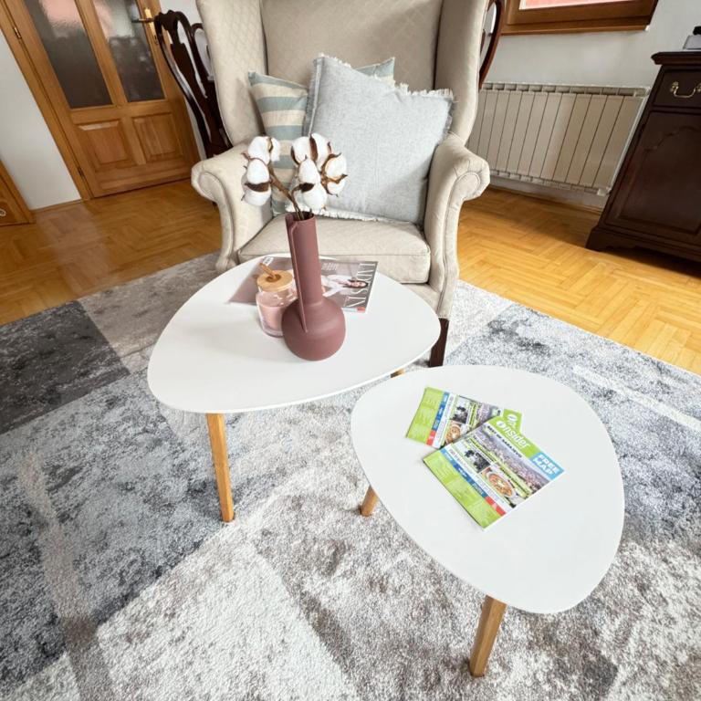 Latin Bridge Sarajevo - 3 Room Apartment, 80m2 in Villa with free private parking - Old Town Sarajevo - Two-Bedroom Apartment - 7